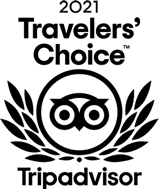 Illustration of a simple black leaf design.