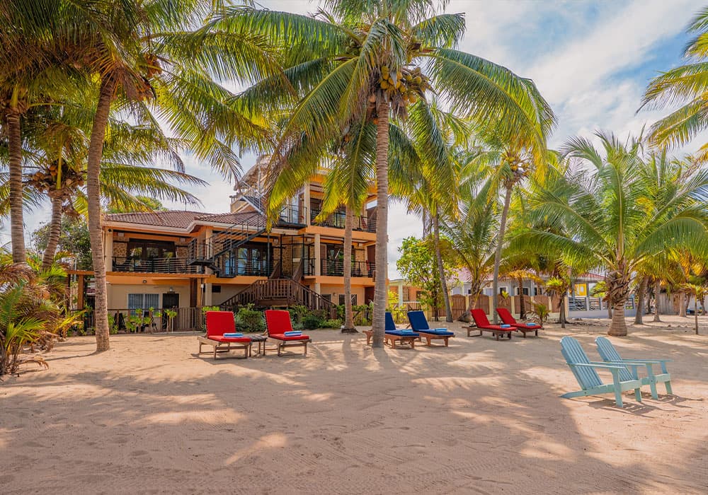 A beach resort with palm trees and colorful lounge chairs on sandy shores.