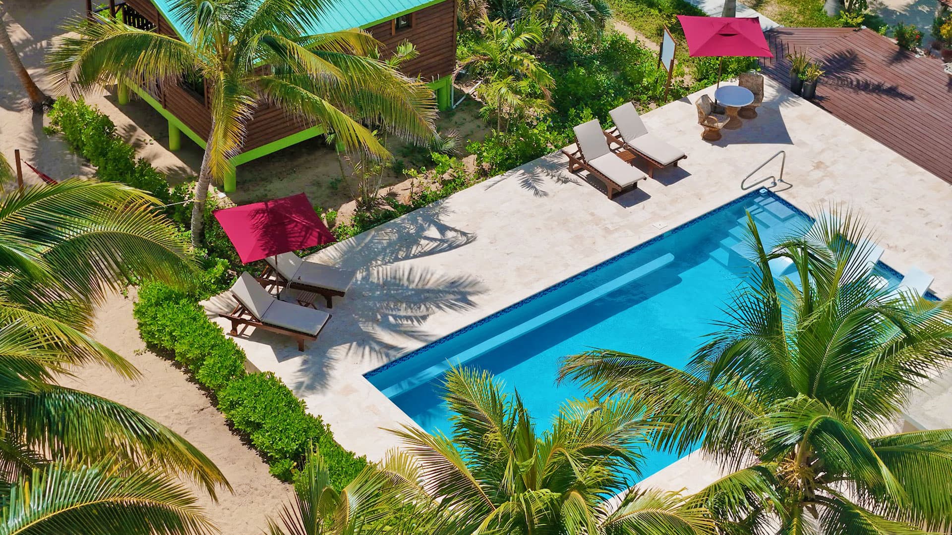Aerial view of a tropical pool surrounded by palm trees and lounge chairs.