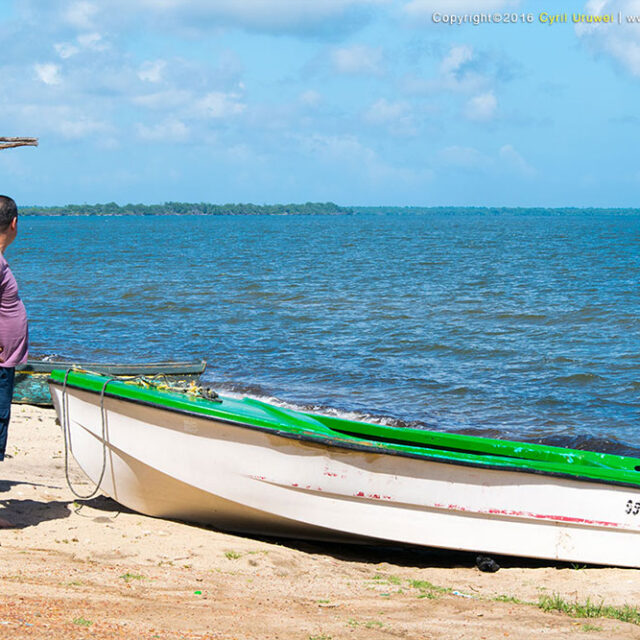 Hopkins Belize Photo Gallery - Coconut Row & Buttonwood Guest House